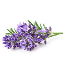 Lavender Ingredient